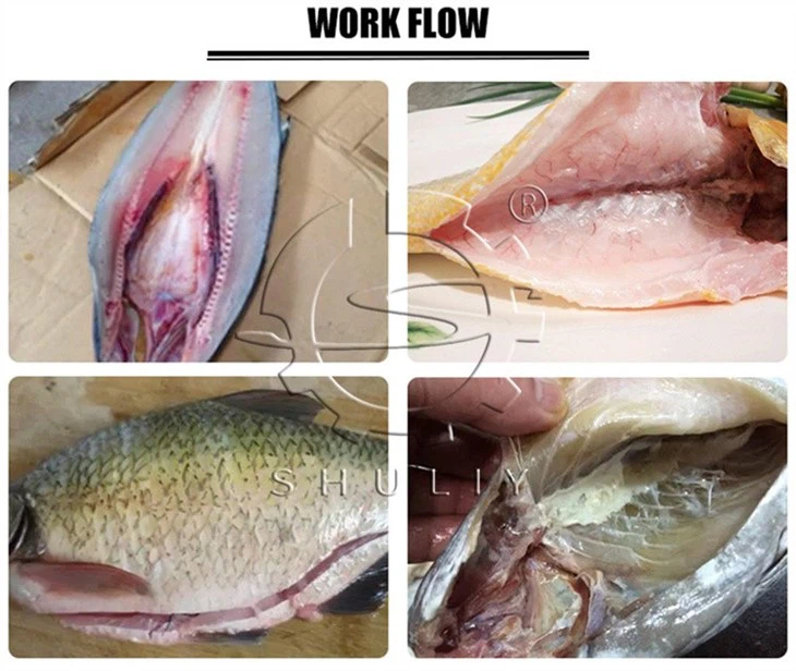 fish killing machine (3)
