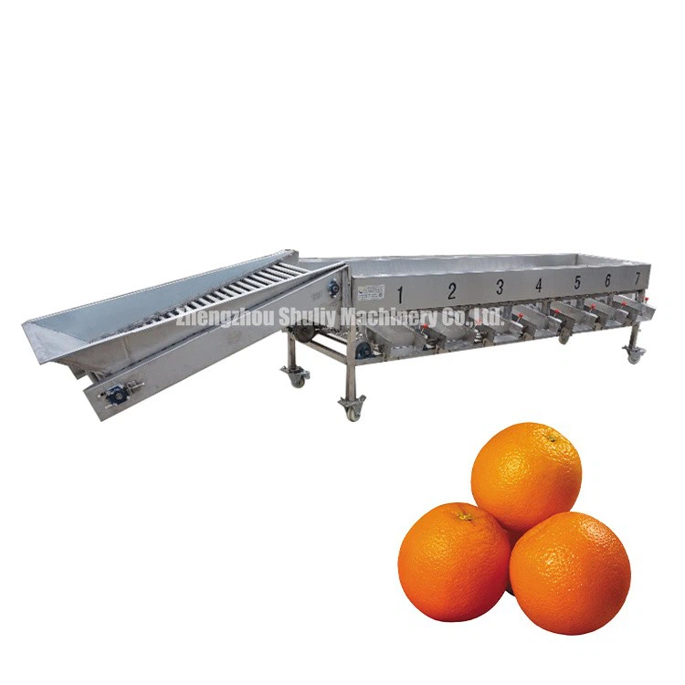 Fruit Sorting Machine