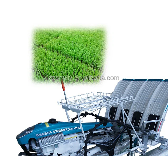 Paddy Planter Machine