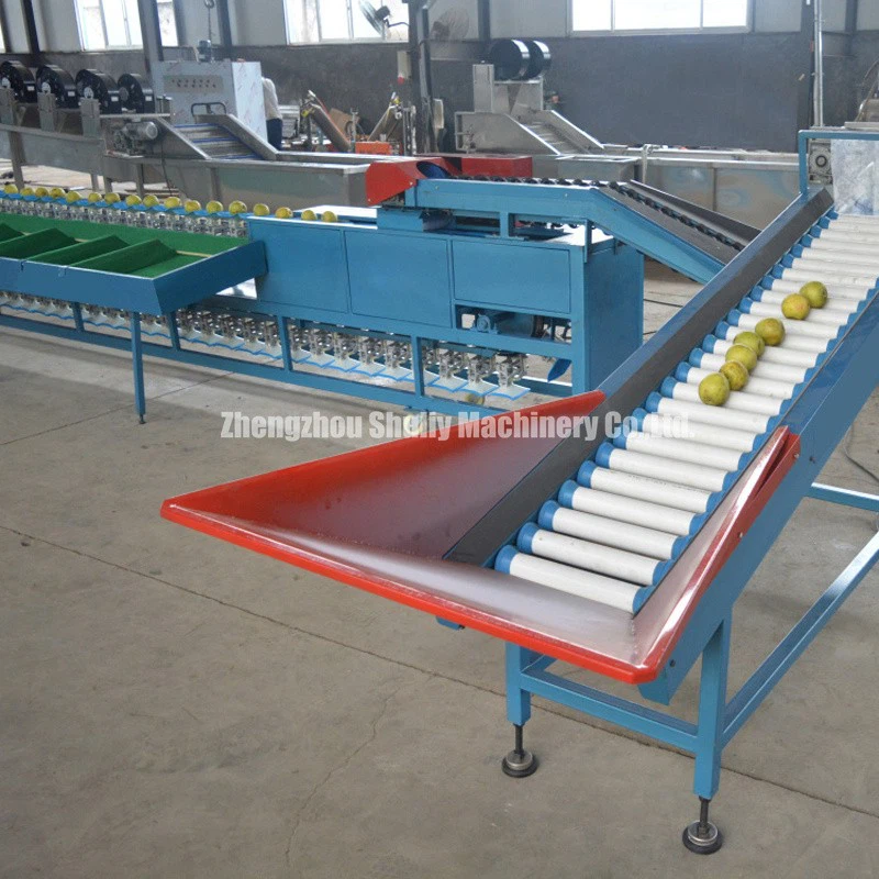 Pear Grading Machine