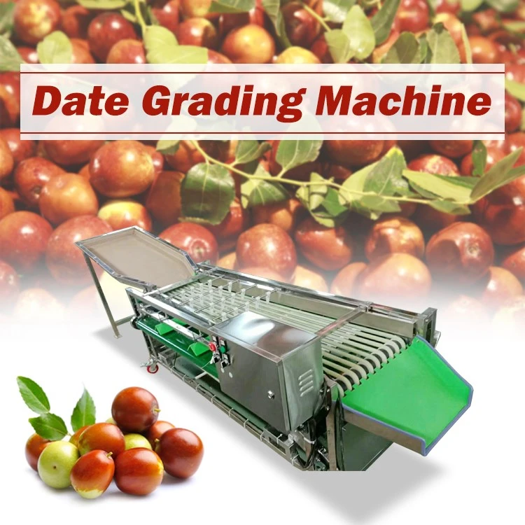 fruit grading machine fruit grading machine