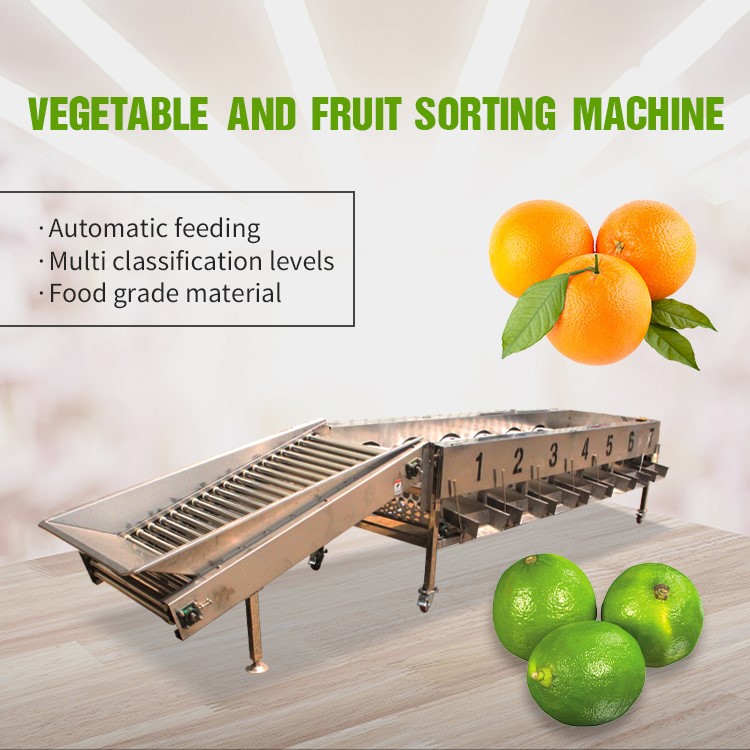 fruit sorting machine fruit sorting machine