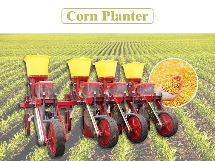 sweet corn planter sweet corn planter